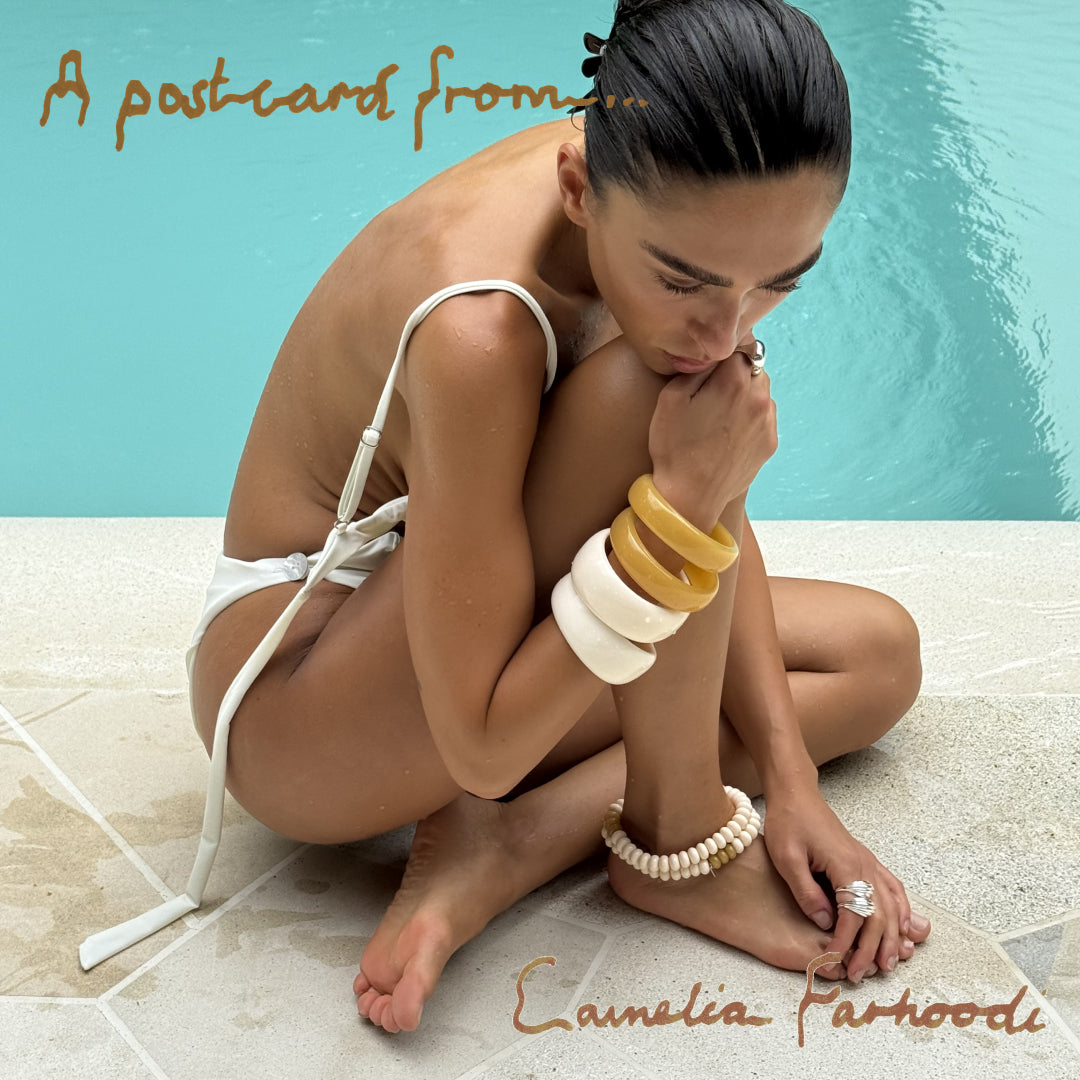 A POSTCARD FROM CAMELIA FARHOODI
